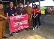 Hari Raya idul Adha 1445 H, Alfamart Berikan 1 Ekor Sapi Qurban untuk Masyarakat Pangandaran