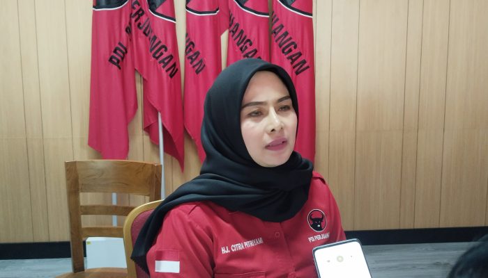 Elektabilitas Meroket, Citra Pitriyami Ungguli Bacalon Lainnya di Pangandaran