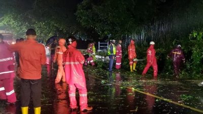 Hujan Deras di Kota Banjar Sebabkan Longsor dan Pohon Tumbang di Jalan Nasional