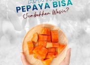 Benarkah Buah Pepaya Solusi untuk Mencegah Wasir?