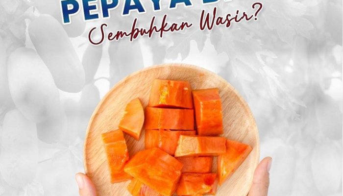 Benarkah Buah Pepaya Solusi untuk Mencegah Wasir?