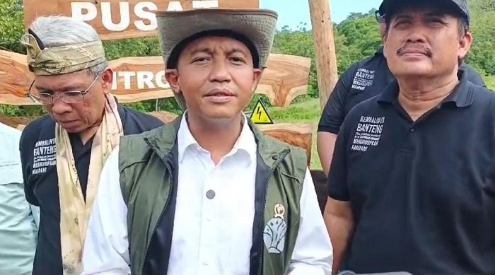 Terancam Punah, Menhut RI Lepasliarkan Beberapa Ekor Banteng Jawa di Cagar Alam Panajung
