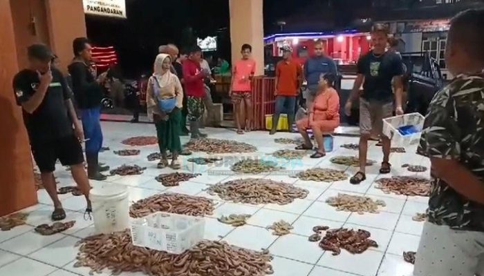 Kenaikan Harga Hasil Laut di TPI Minasari Pangandaran Membawa Angin Segar bagi Nelayan