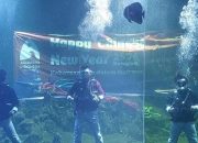 Meriahnya Perayaan Imlek 2576 di Aquarium Indonesia Pangandaran