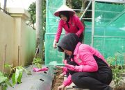 Bhayangkari Banjar Tanam Sayuran, Wujud Dukungan untuk Pekarangan Pangan Lestari