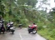 Tebing Longsor di Ciamis, Jalan Langkapsari Lumpuh Total