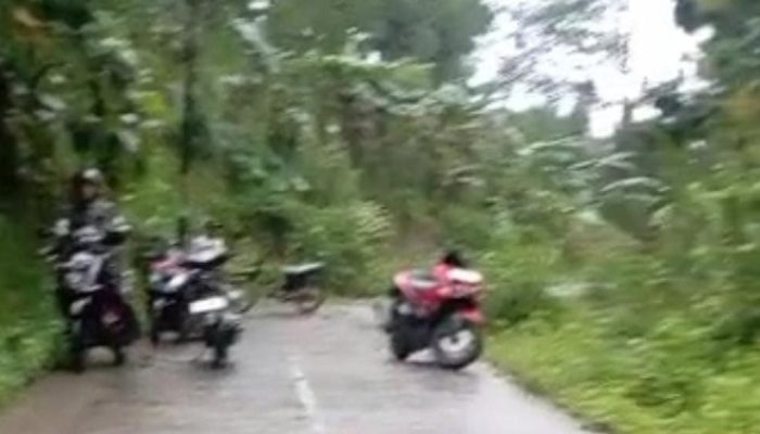 Tebing Longsor di Ciamis, Jalan Langkapsari Lumpuh Total