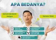Perbedaan Demam Berdarah dan Tifoid: Kenali Gejalanya