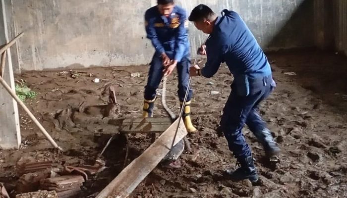 Petugas Damkar Ciamis Evakuasi Biawak di Rumah Warga Pamarican