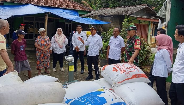 Bulog Serap Gabah Petani Kota Banjar dengan Harga Rp 6.500 per Kilogram