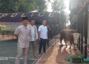 Polres Banjar Sembelih 28 Hewan Kurban di Hari Raya Idul Adha 1446 H