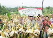 Polres Banjar Gelar Panen Raya Jagung Serentak Kuartal II sebagai Wujud Dukungan Ketahanan Pangan Nasional