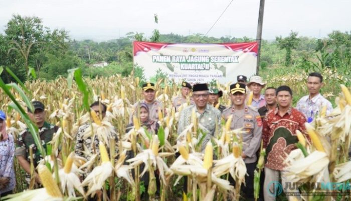 Polres Banjar Gelar Panen Raya Jagung Serentak Kuartal II sebagai Wujud Dukungan Ketahanan Pangan Nasional