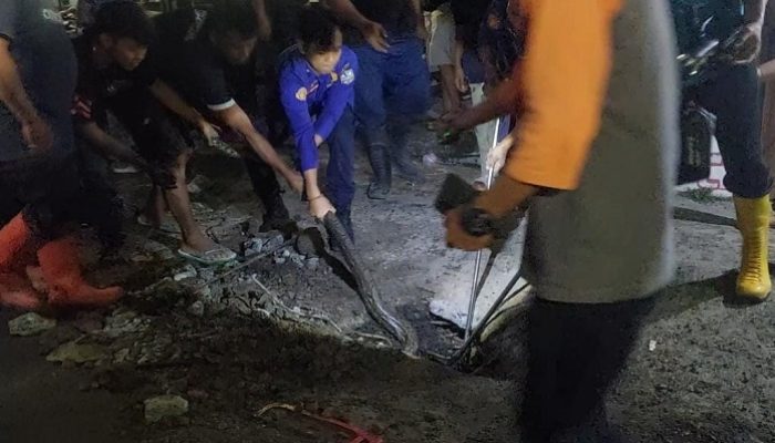 Petugas Damkar Banjar Evakuasi Ular Piton Sepanjang 3,5 Meter yang Gegerkan Warga Jadimulya