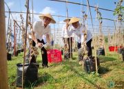 Kakanwil Jabar Apresiasi Panen Melon dan Peternakan Lapas Banjar: Bukti Nyata Pembinaan dan Ketahanan Pangan Warga Binaan