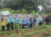 Dukung Program Penghijauan, Ratusan Bibit Pohon Ditanam Serentak di Kecamatan Banjar