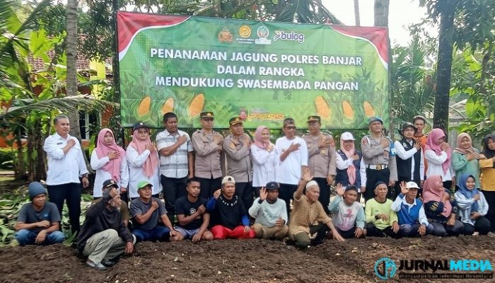 Lahan 2 Hektare di Kujangsari Disulap Jadi Sentra Jagung
