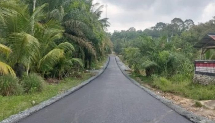 Wagub Sumbar Dorong Pembangunan Infrastruktur Jalan Desa