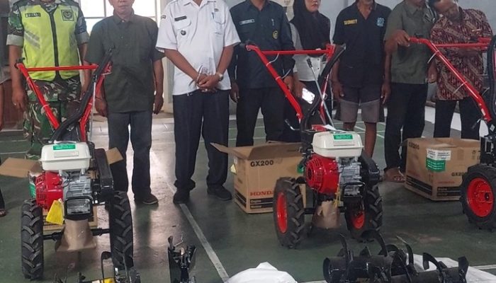 Lewat BUMDes, Desa Sinar Tanjung Perkuat Ketahanan Pangan dan PAD Desa