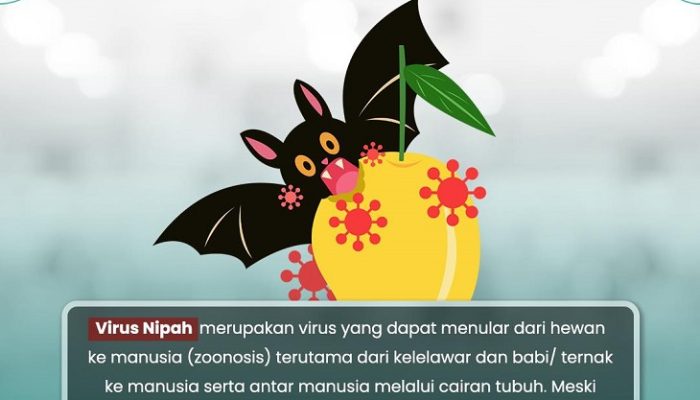 RSUD Pandega Imbau Masyarakat Pangandaran Waspadai Virus Nipah
